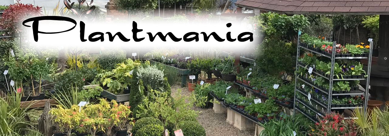 plantmania