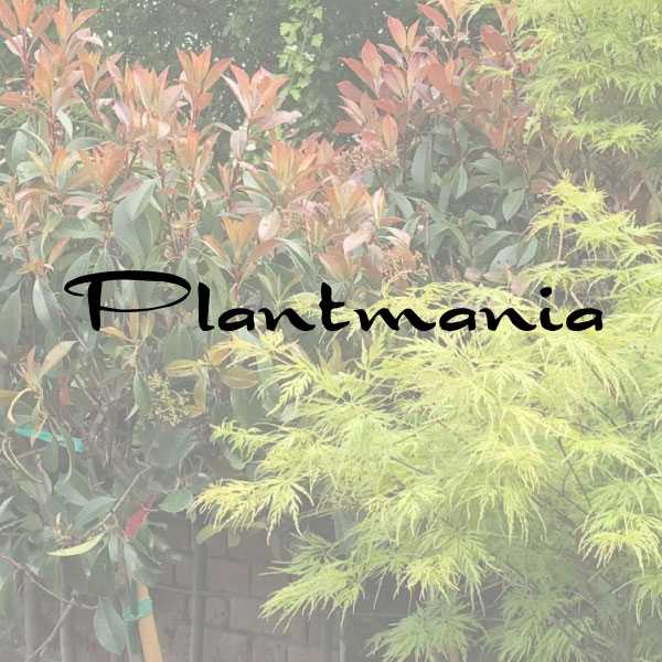 plantmania